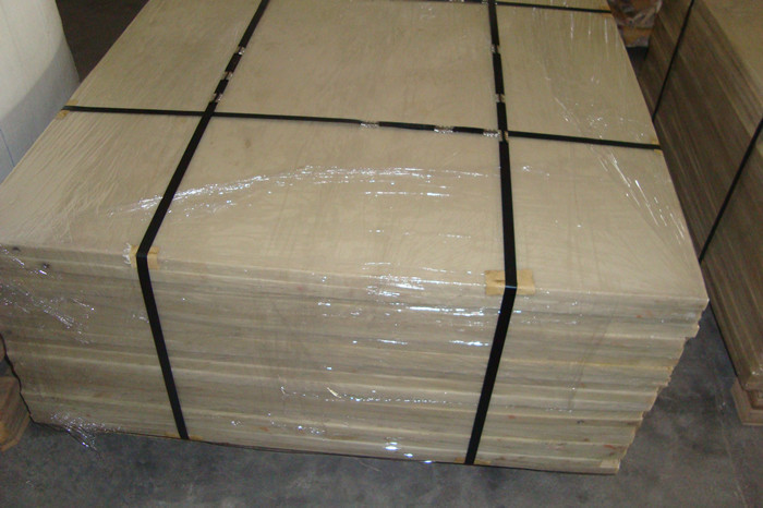 PA6 PA66 Nylon Plastic Sheet / White Nylon Sheet With 90Mpa Tensile Strength