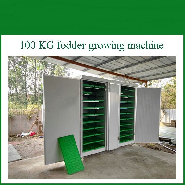 Animal Hydroponic Fodder Machine Greenhouse Hydroponic Growing Systems