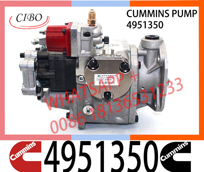 Diesel Engine Fuel System Parts For NTA855-D 4951350 Injector Pump For Cummins