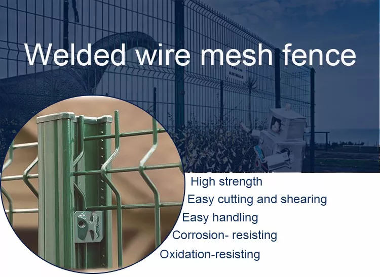 Hot dipped galvanized 3D Curvy PVC Coated Welded Wire Mesh Fencing