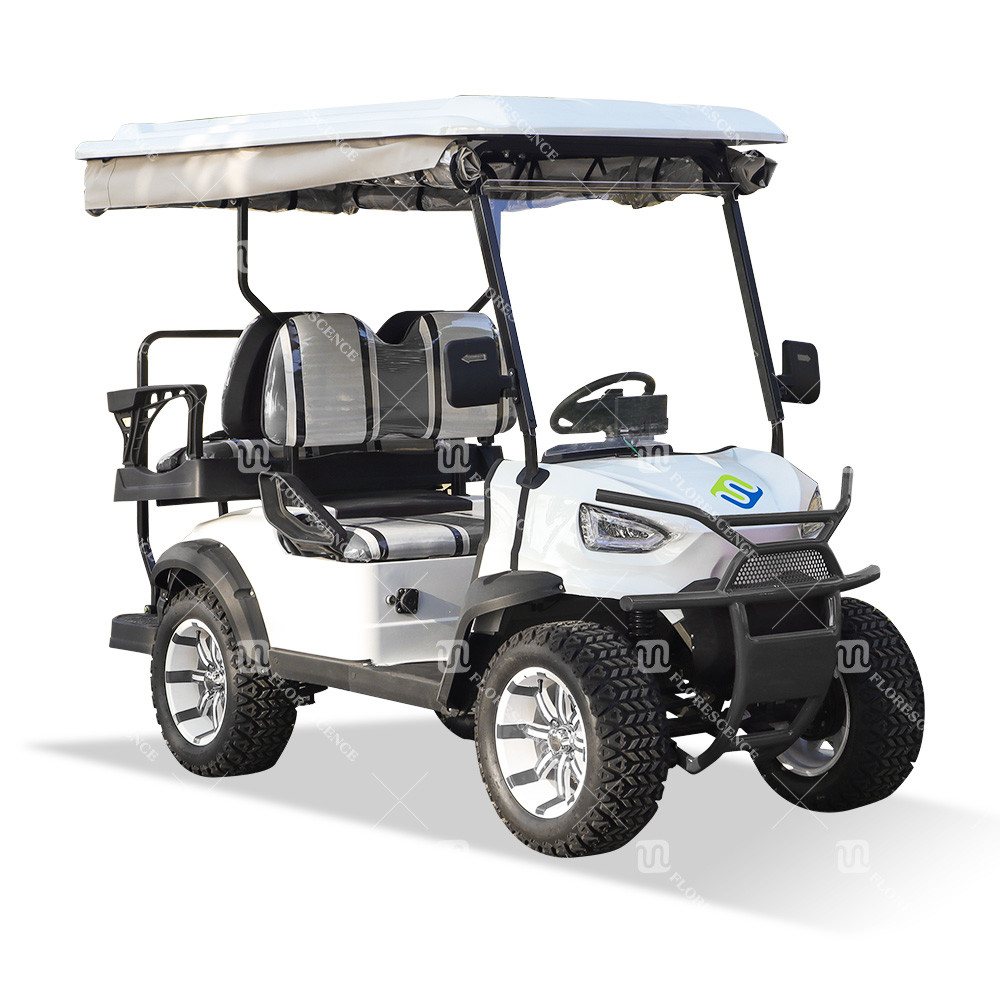 CE Certificated AEV Ranger Golf Cart 25Mph-40Mph Customizable