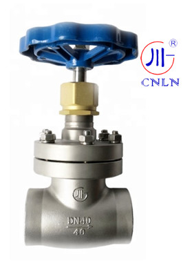 SS304/316 Cryogenic Globe Valve Short Stem-Type B(DN10-100mm) for LNG/LOX/LN2