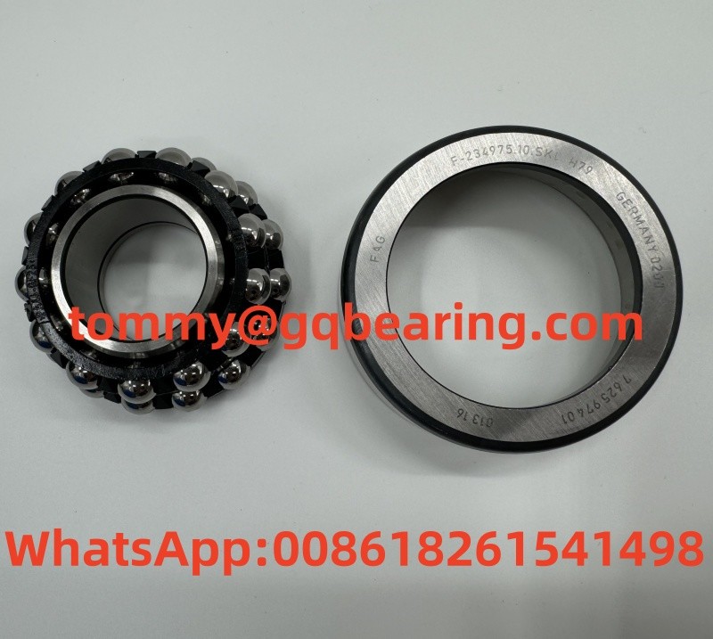Chrome Steel Differential Automotive Bearings FAG F-234975.10.SKL-H79 792597401