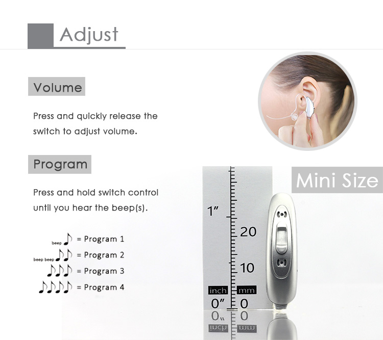Vigor 402 Programmable Hearing Amplifiers For Profound Sensorineural Hearing Loss