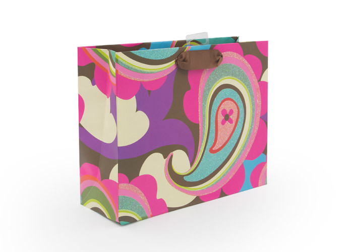 Luxury Decorative Paper Gift Bags Different Types Fashionable Appearance
