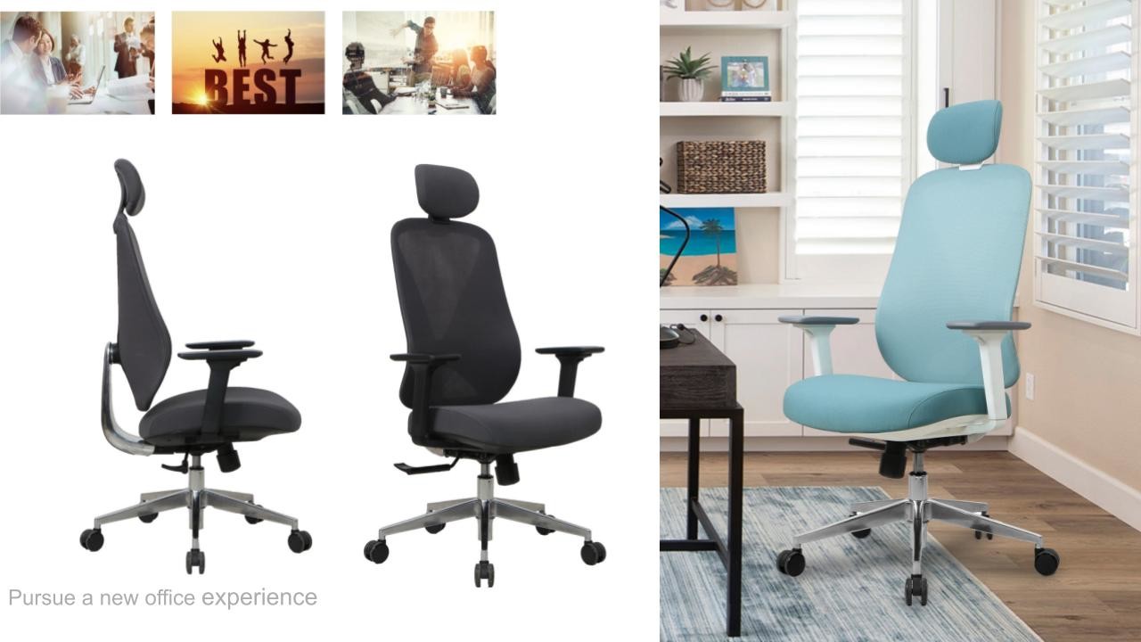 330 Polished Ergonomic Office Chair Aluminum Base Executive Ergo Lumbar Support