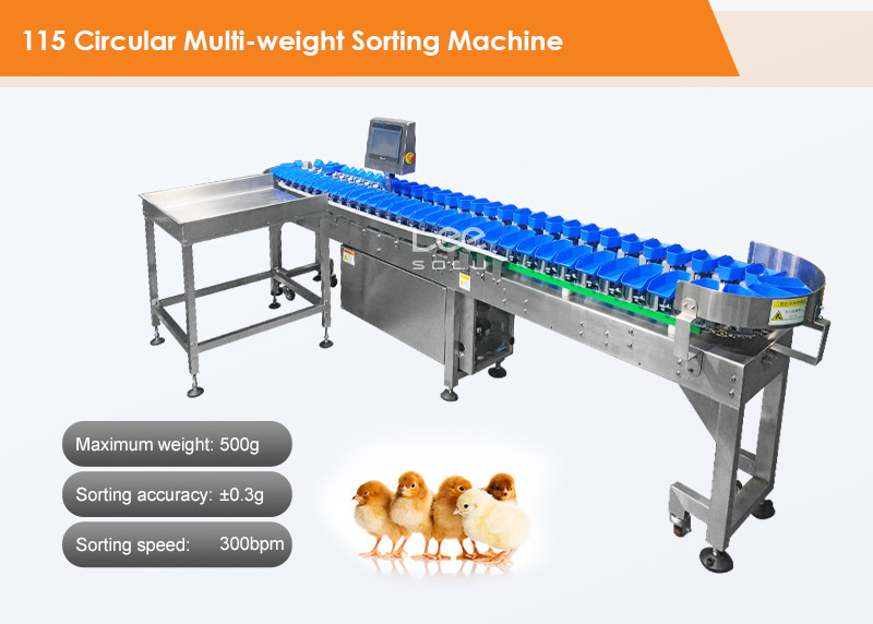 Stainless Steel Tomato Garlic Onion Sorting Machine Potato Grading Size Grader Machine Vegetable Weight Sorting Maine