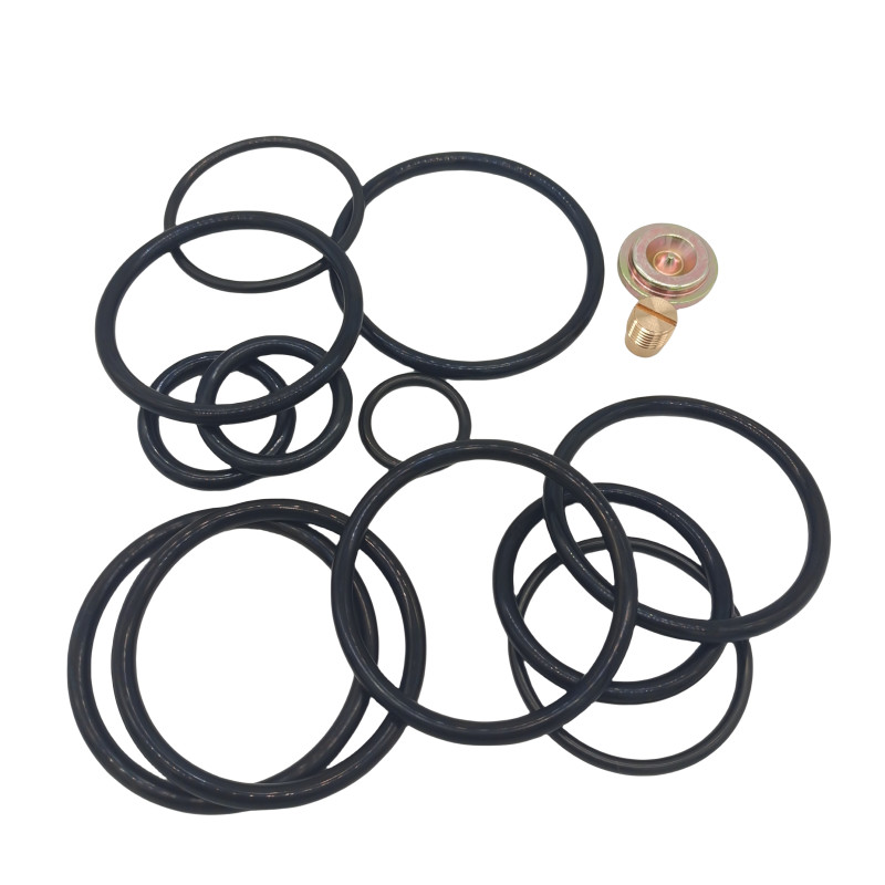 High Pressure AP Compact Setting Tool Redress Kit with Heat and Chemical Resistance
