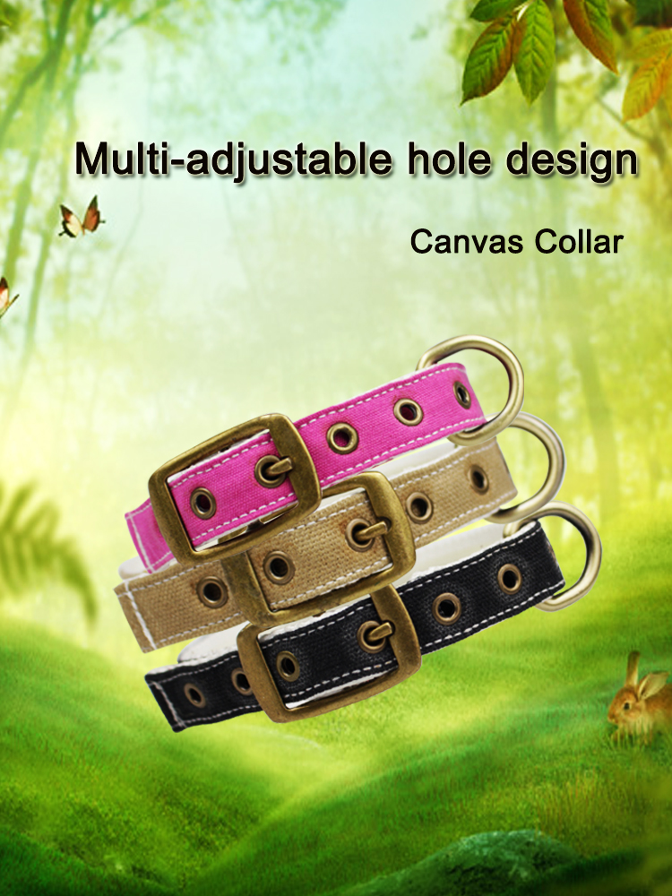 C505 Wholesale Adjustable Canvas Cotton Waterproof Pet Dog Training Collar Sublimation