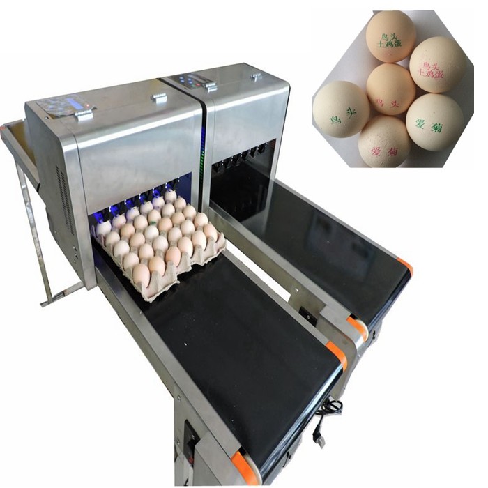 Full Automatic Egg Continuous Inkjet Printer With 600 DPI Printing Resolution