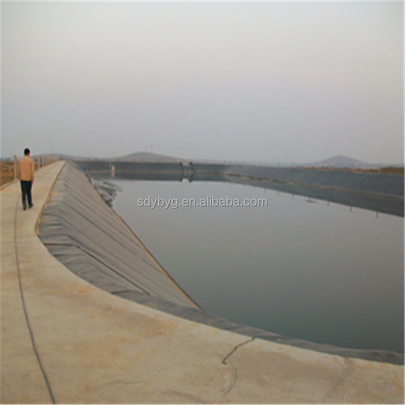 Geomembranes in Industrial Design Style for Easy Installation Pond and Dam Liners
