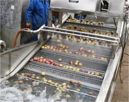Air Bubble Food Cleaning Machine For Banana Fruit Washing 6kw 380v