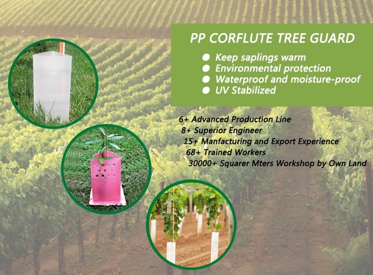 Customized Colour Corrugated Plastic Tree Guard for High-Density Tree Protection