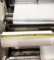 Transparent PO Hot Melt Adhesive Film 0.12mm 0.15mm ROHS