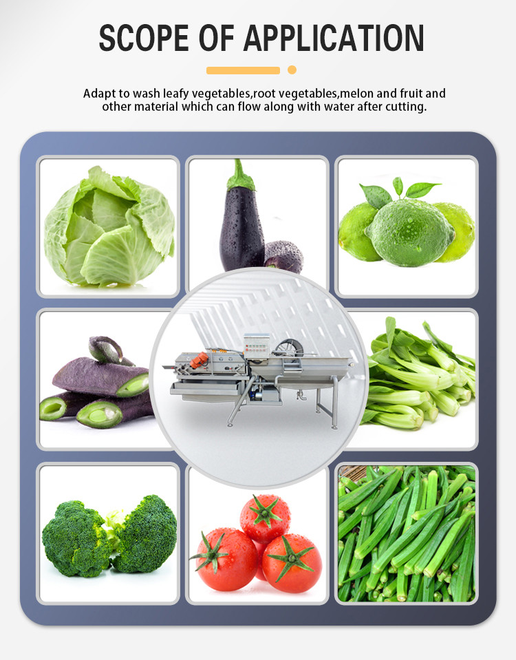 ISO9001 Fruit And Vegetable Processing Line , Air Bubble Washing Machine