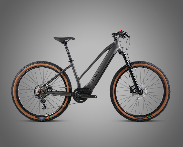 48V15Ah Lithium Battery Electric Bicycle with M510 Mid-Drive Motor and Sram NX Parts