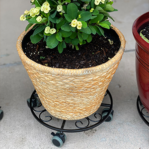 Sturdy Rolling Plant Stand Heavy-Duty Wrought Iron Plant Dolly for Floor Boughpot