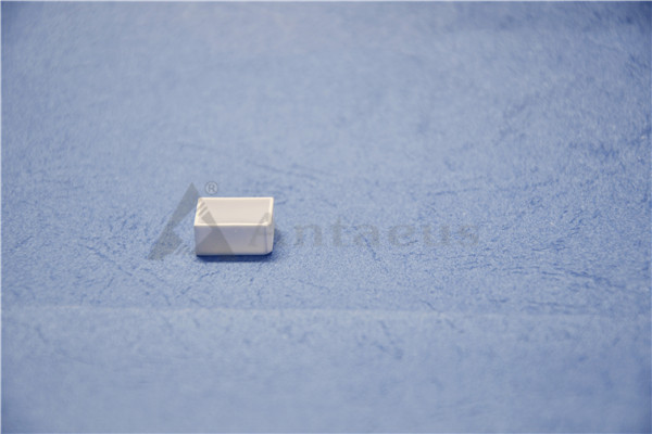 HVDC Relay Machining Alumina Ceramic 95% Alumina Based Ceramics
