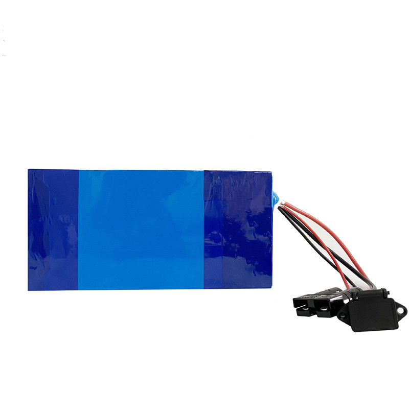 Deep Cycle LFP Lithium Lifepo4 Batteries For Electric Bicycles