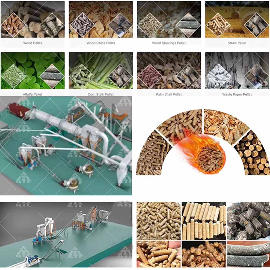 Sawdust Wood Pellet Machine 4TPH-6TPH Biomass Briquette Making Machine