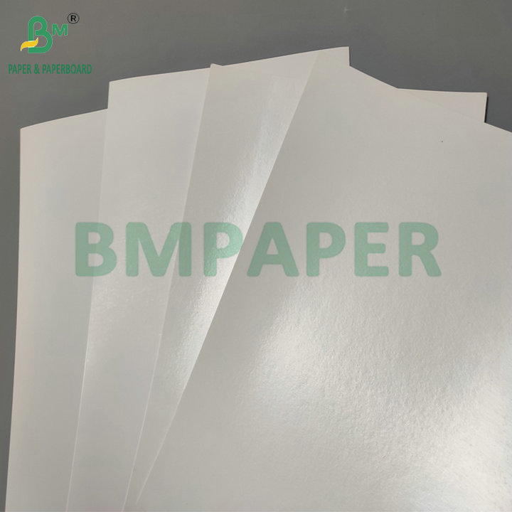 Water Resistant Single PE Coated 190gsm 210gsm Cupstock For Making Hot and Cold Paper Cups