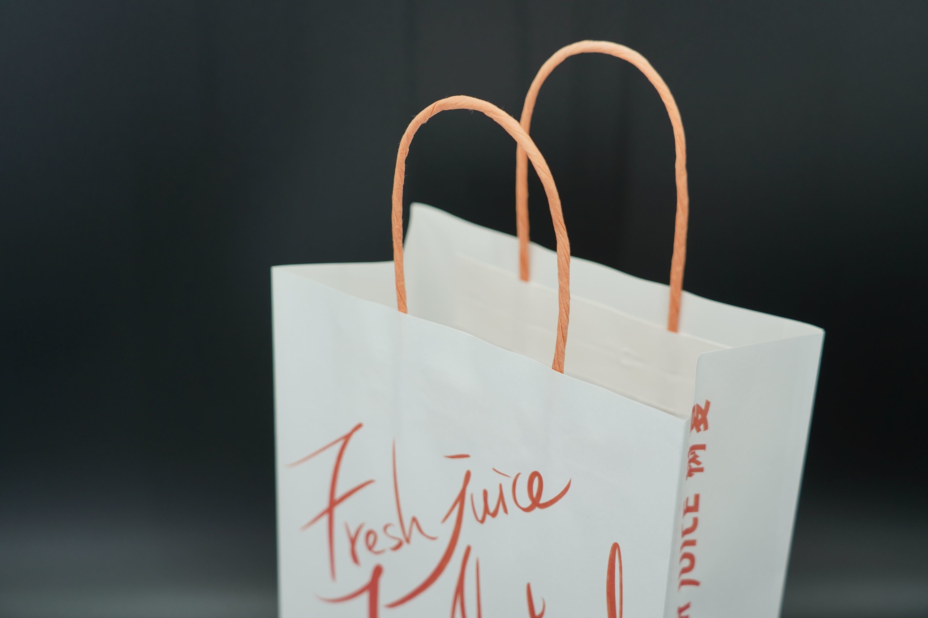 Industry Custom Printed Gift Bags sturdy Eco Friendly Kraft Food Bags