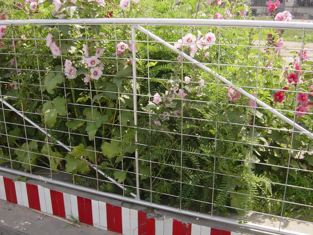Wire Mesh Livestock N Type Steel Farm Field Fence Gate