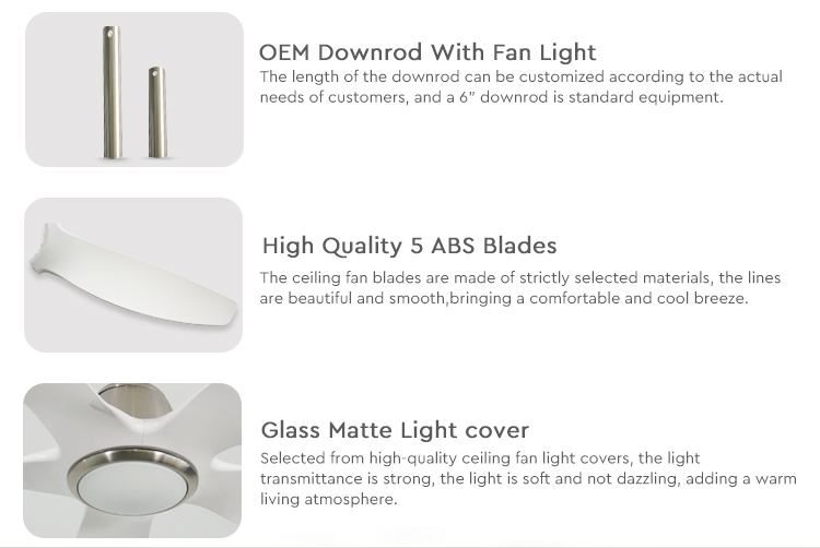 60" 5-Blade ABS LED Ceiling Fan with Light REACH Certified Low Energy Consumption