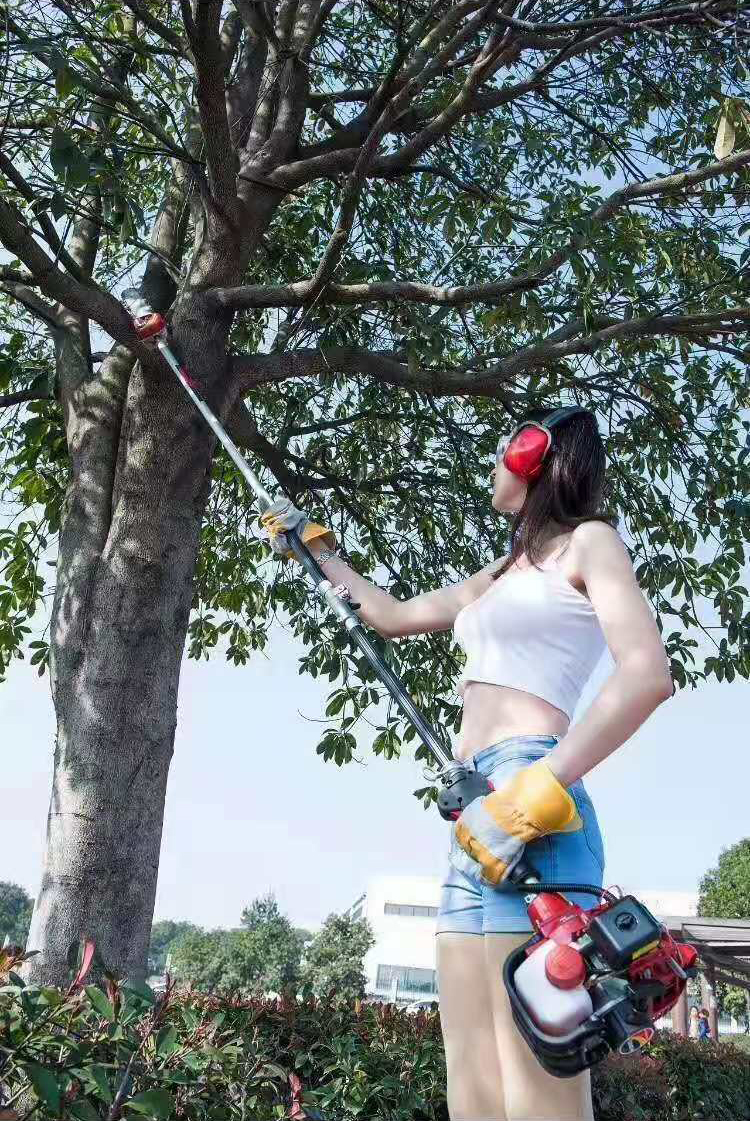 Cordless 22.5cc 4 Stroke Gasoline Powered Pole Saws 0.8KW High Limb Chainsaw