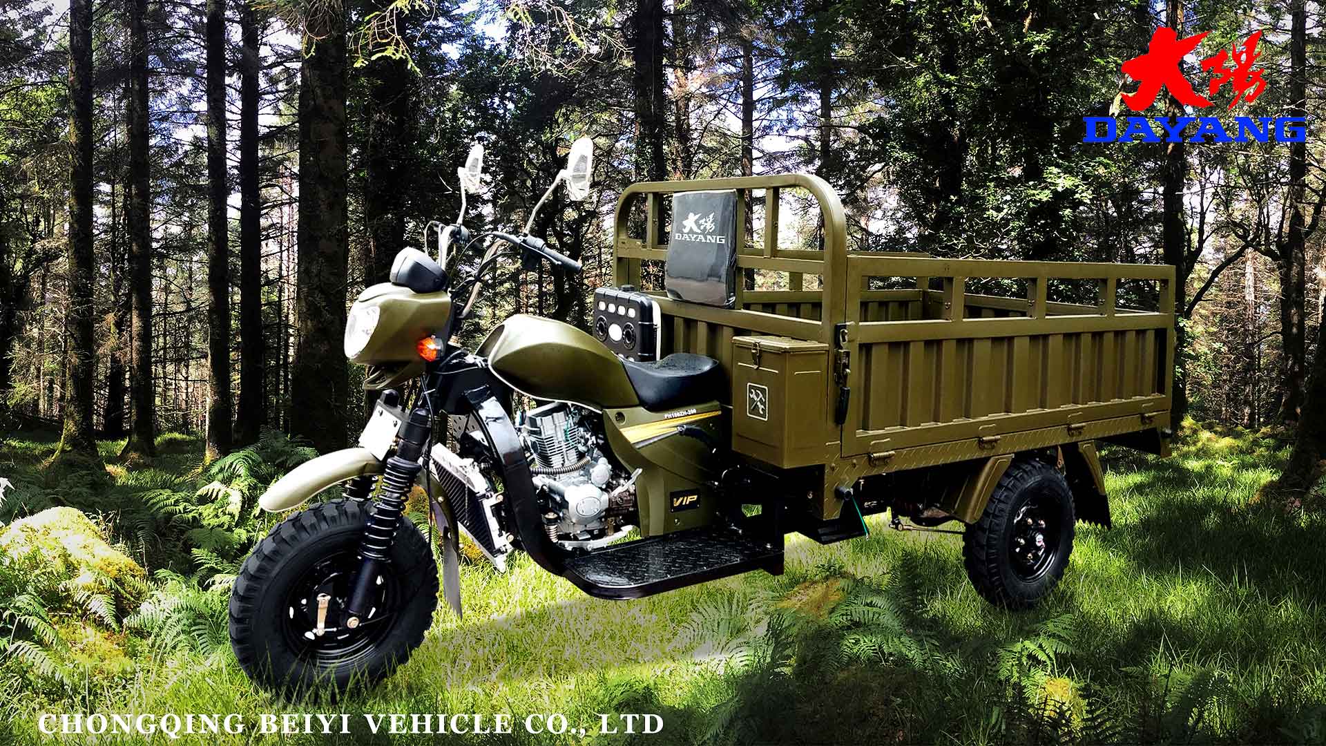 DAYANG H5 Heavy Load Open Driver Seats Cabin Cargo 200CC 3 Wheel Tricycle Motorized