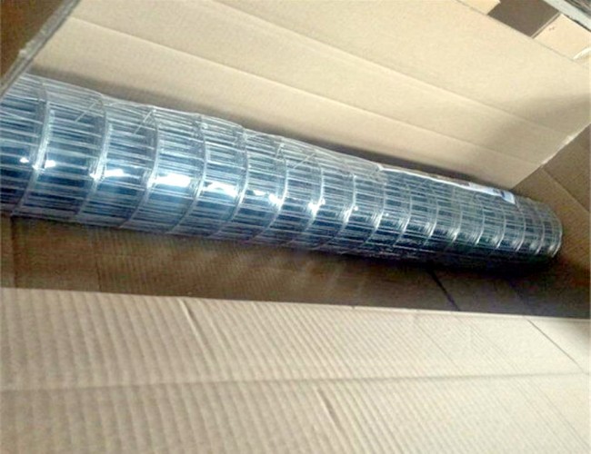 50X50 Galvanized Welded Wire Mesh Rolls 6 Foot Wire Fence Roll Abrasion Proof