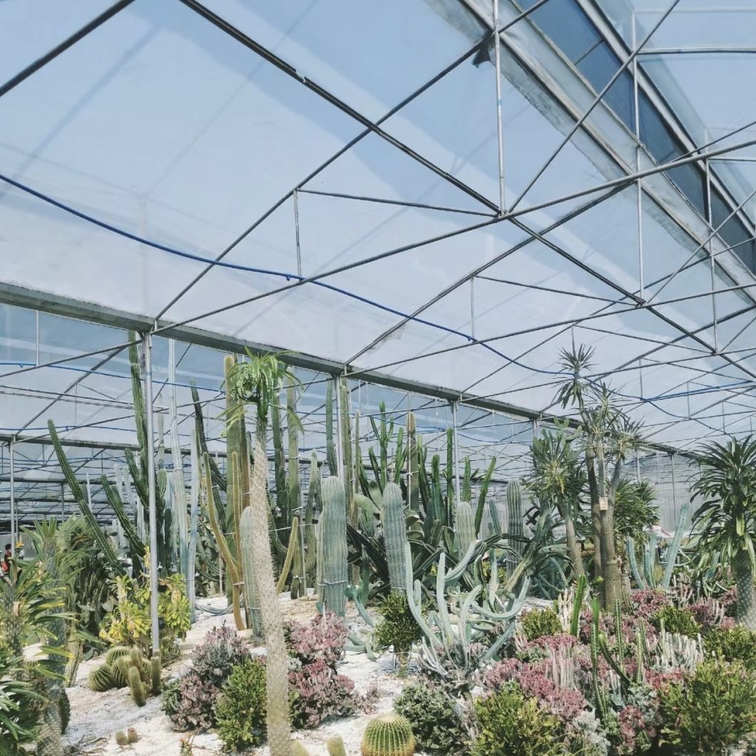 Glass Greenhouse Hydroponic Vegetable Setup