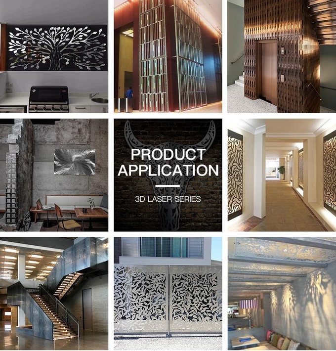 Customizable 304 Stainless Steel Metal Decorative Sheet 3D Laser Finish