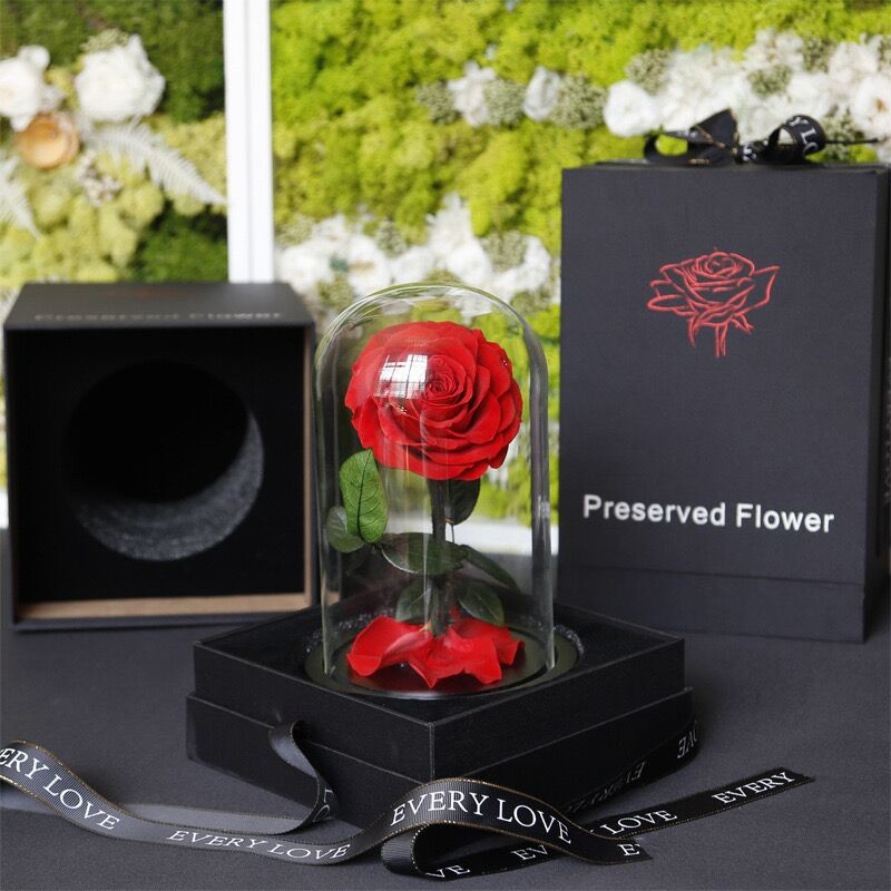 OEM Perfect Valentines Day Gifts Multiple Colours Preserved Everlasting Real Rose Flower in Glass Dome