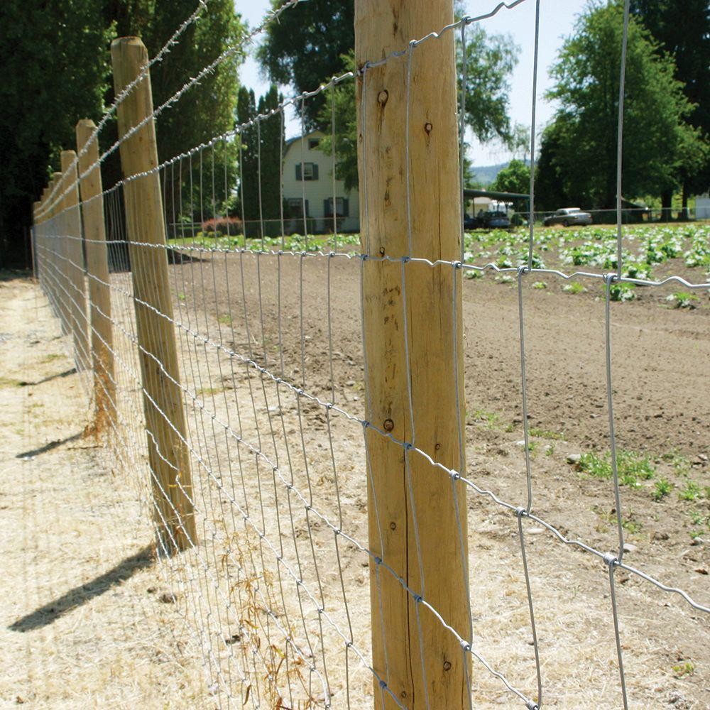 1.8m Agriculture Grassland Field Fixed Knot High Tensile Fence