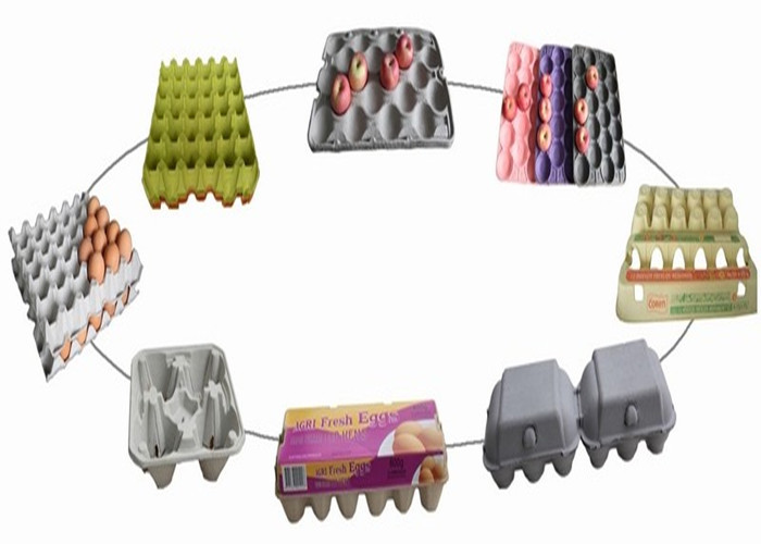 Molding Pulp Egg Tray Making Machine Fruit Tray Production Line Single Layer