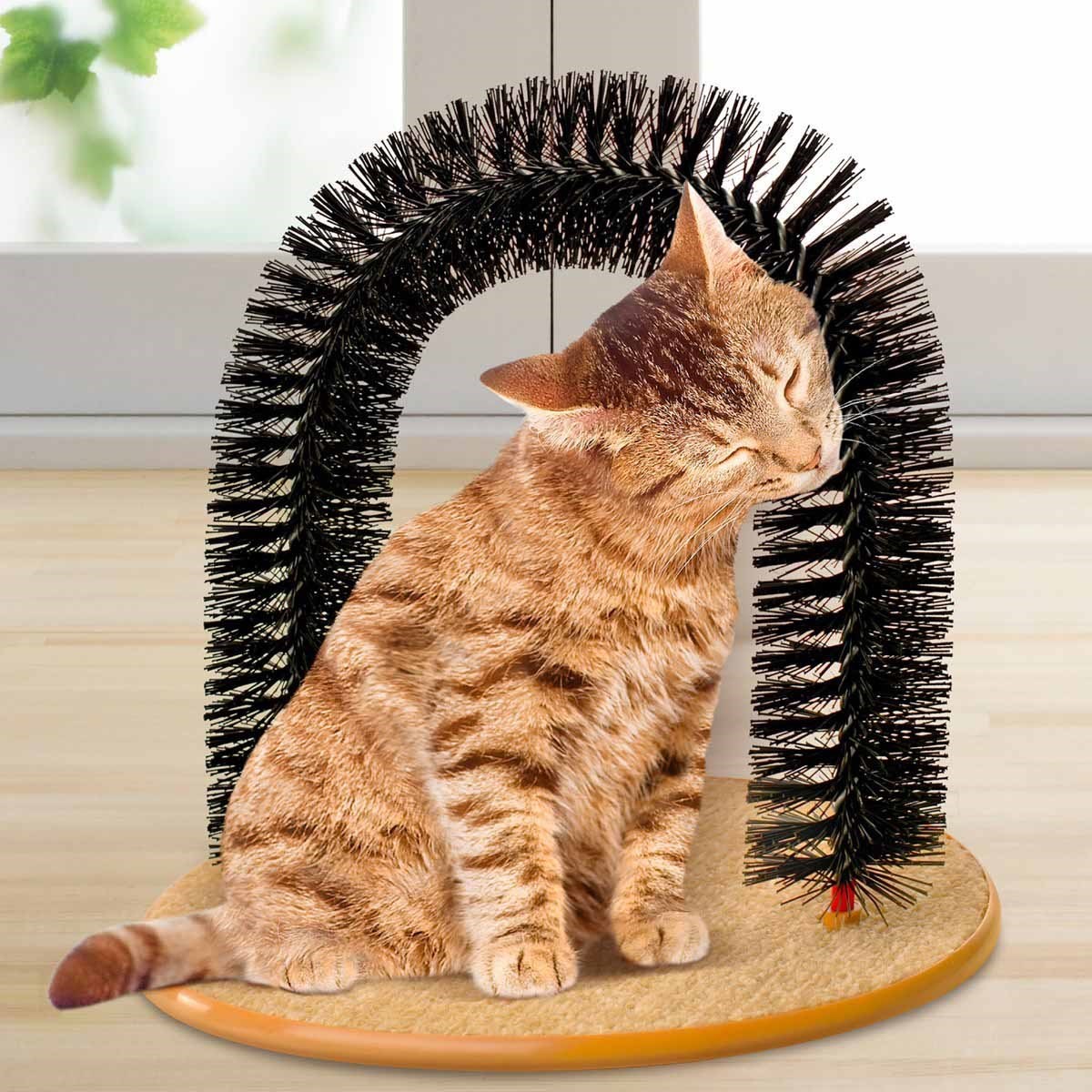 ABS Cat Toy Bed Scratch With High Carpet Cloth Soft Cushion 31 * 35.5 * 10cm