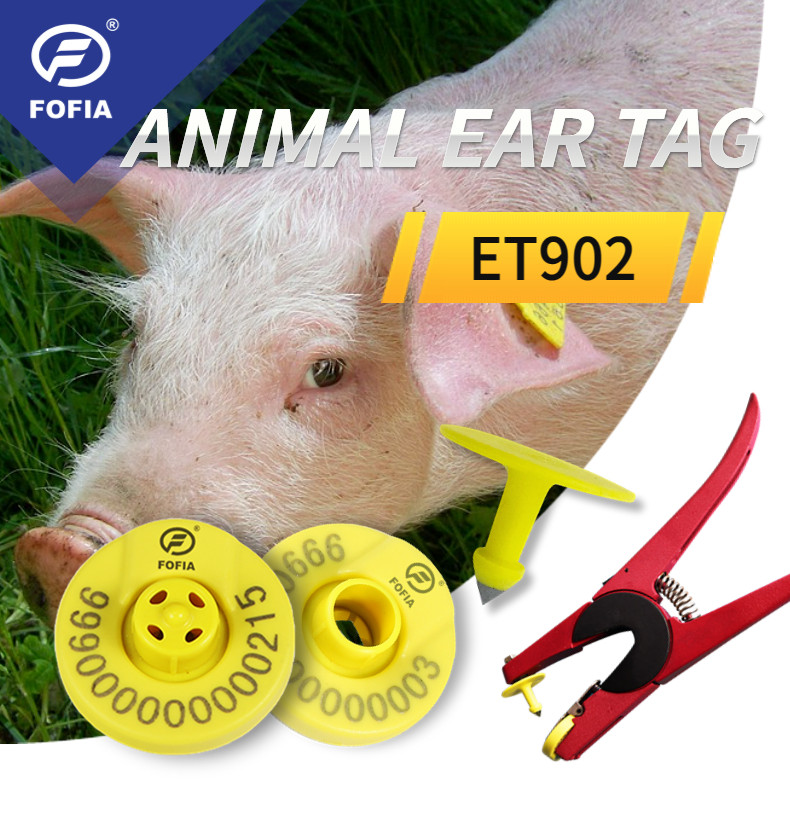 RFID Ear Tag Cattle Ear Tags Enhance Livestock Management With Advanced RFID Technology