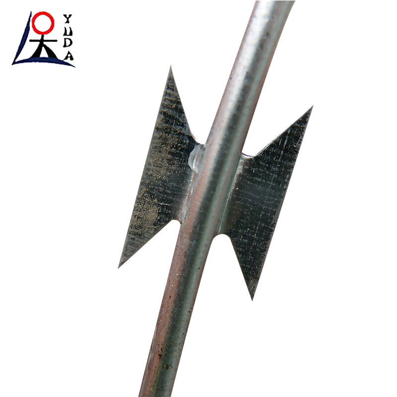 Razor Barbed Wire Prisons Security Fencing Cheap Razor Fence
