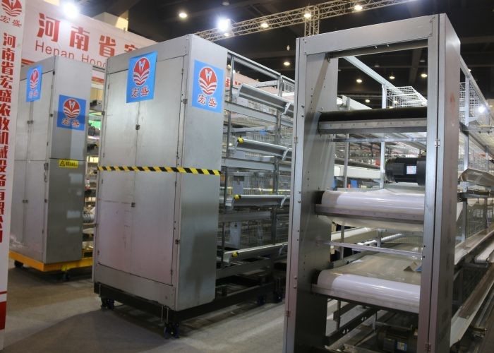Stable Automatic Manure Removal System Full Chicken Breeding For Layers