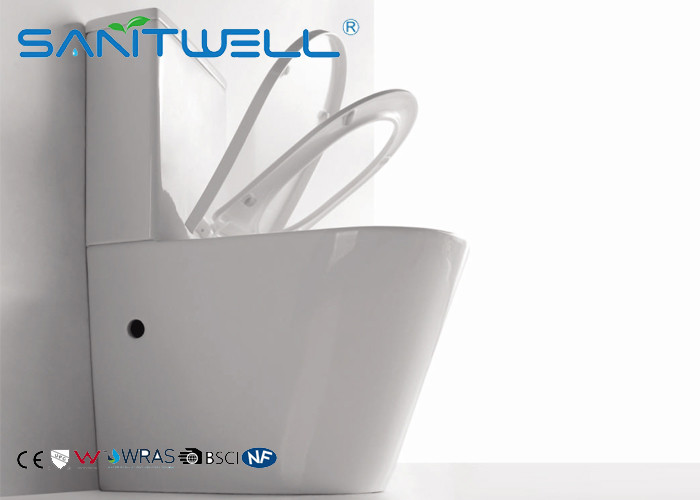 Floor standing Toilet Back to Wall Full White Ceramic Washdown Soft Close Seat