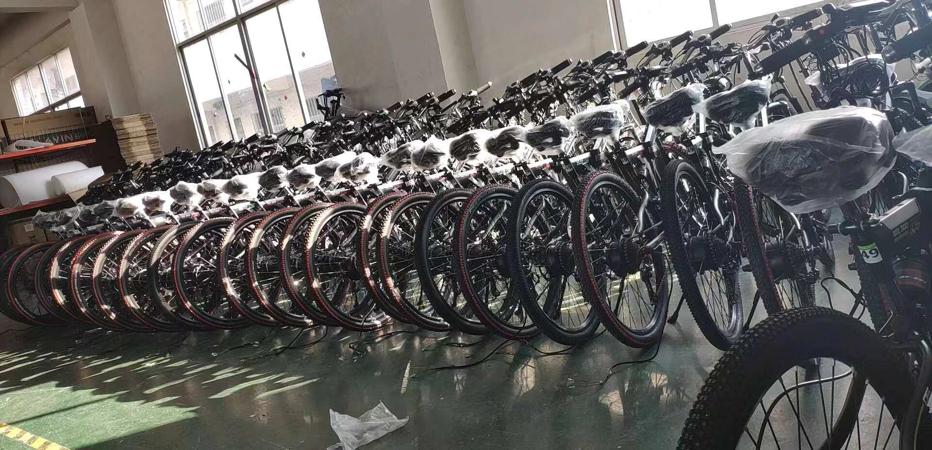 20AH24 Inch Wheel Folding Electric Bike With Z.STAR Brake RoHS Approved
