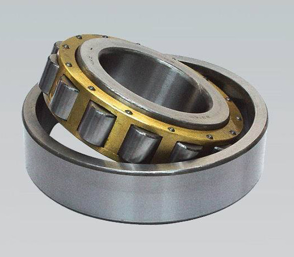 3282107 single row cylindrical roller bearing 35mm x 62mm x 20mm NN3007