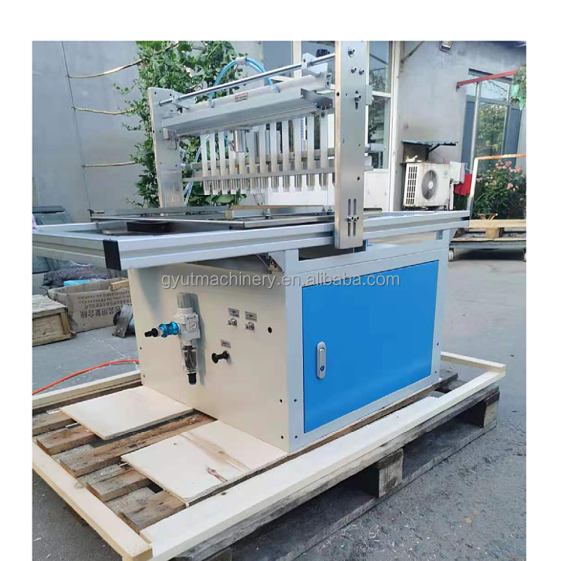 Automatic Vegetable Seed Planting Line for Seeding Lettuce and Other Seeds