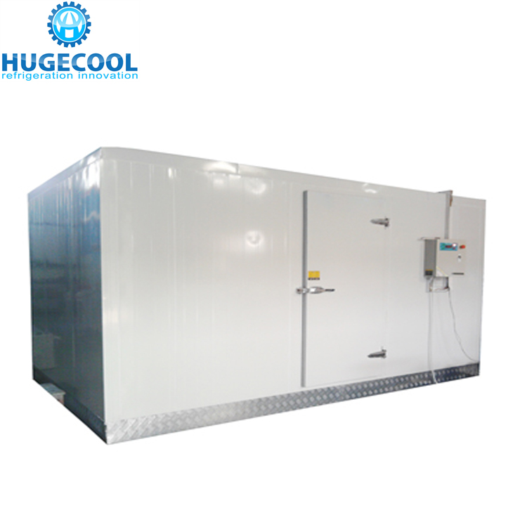 Easy to install Cold Storage Room