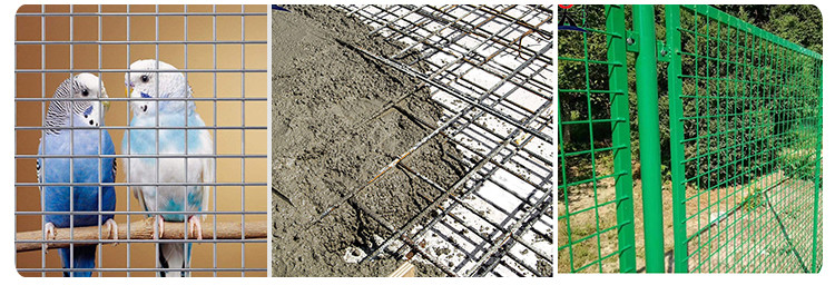 Hot Dipped Galvanized Welded Net Rabbit Bird Cage Welded Wire Mesh