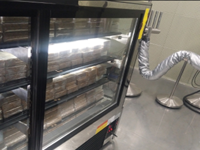 R290 GAS Commercial Upright Drinks Fridge Frozen Food Merchandiser 1170L