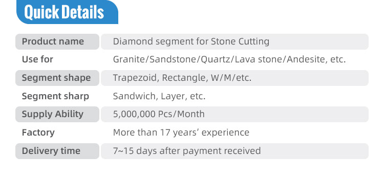 Global Market Diamond Grinding Disc Wheel Sintered Segment for Strong Slabs Grinding