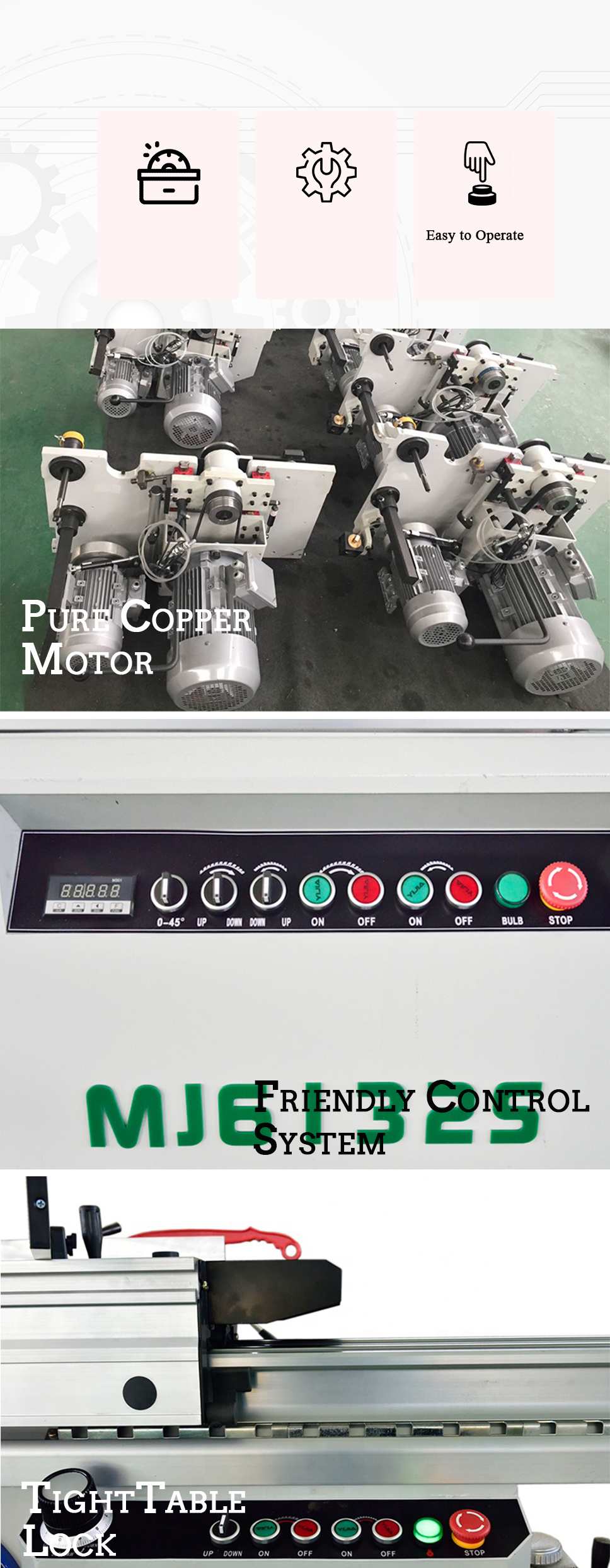 Motor 45/90 Degree Bevel Cutting Vertical Panel Saw for Accuracy Woodworking Industries