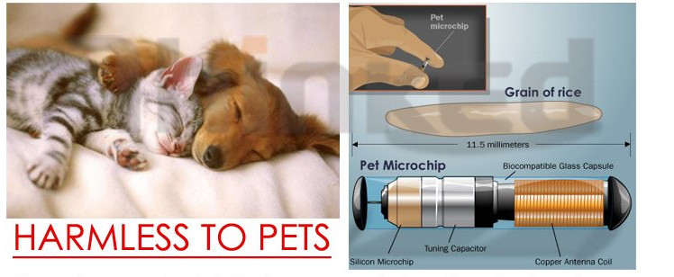 Pet Animal identification Rfid Glass Tag Transponder Syringe Injectable Chips